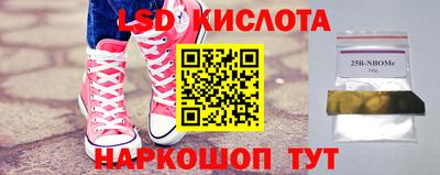 стаф Камышлов