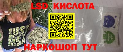 стаф Камышлов