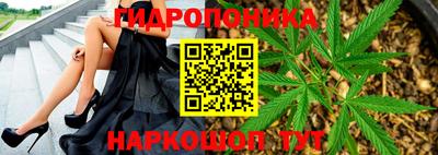 PSILOCYBIN Кандалакша