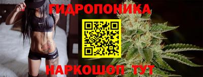 PSILOCYBIN Кандалакша