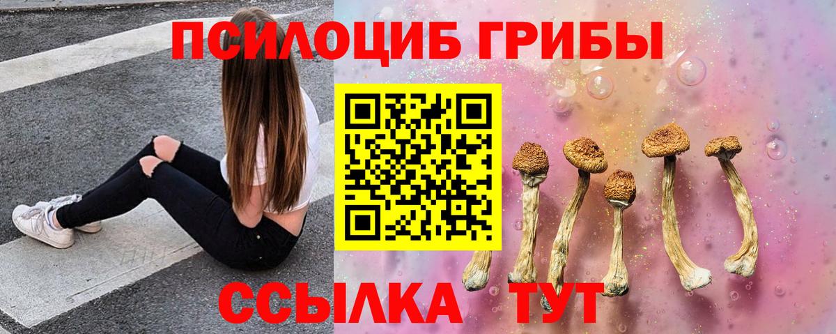 Бирск  Псилоцибиновые грибы Magic Shrooms  Вход с VPN 