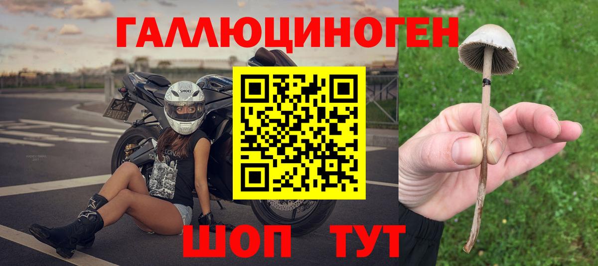 Псилоцибиновые грибы MAGIC MUSHROOMS Бирск